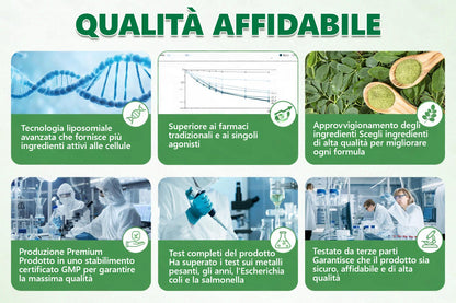 Negozio Ufficiale | 🩹🐲CureVivo® Moringa · Berberina × NAD+ 10-in-1 Cerotto Avanzato ai Nano Microaghi 🇮🇹 (Una volta al giorno, cambiamenti visibili in 7 giorni) ✅ Per sovrappeso, pelle flaccida, diabete,    apnea notturna, problemi articolari e altro