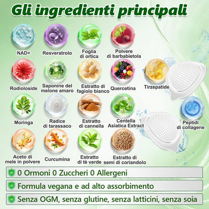 Negozio Ufficiale | 🩹🐲CureVivo® Moringa · Berberina × NAD+ 10-in-1 Cerotto Avanzato ai Nano Microaghi 🇮🇹 (Una volta al giorno, cambiamenti visibili in 7 giorni) ✅ Per sovrappeso, pelle flaccida, diabete,    apnea notturna, problemi articolari e altro