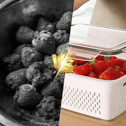 SVOZK® 🔥🔥UP TO 50% OFF | 5 Reasons Why This 4-in-1 Food Storage Container Is Eliminating Food Waste In American Fridges-YH